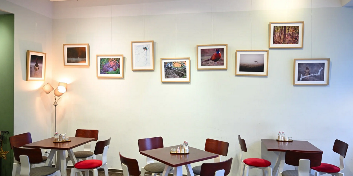 Aktuelle Ausstellung: Tierisch nah dran